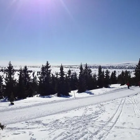 Hafjell Apartment, Nevelfjell Øyer